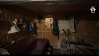 В Самарской области пенсионер убил знакомого в бане, расчленил и выбросил в выгребную яму