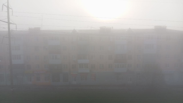 11 августа в Самарской области ожидается туман