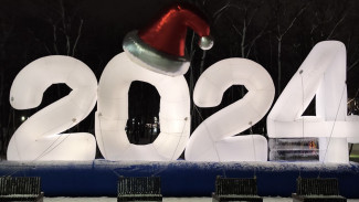 Новогодняя афиша - 2024: где самарцы могут провести свой досуг