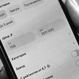 Самарцам хотят ввести жесткий запрет на покупки в маркетплейсах