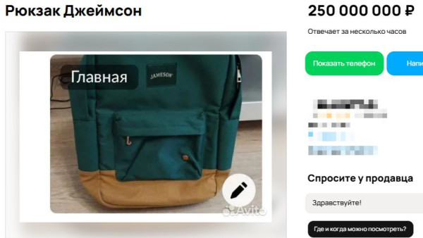 В Самаре на Avito продают рюкзак Jameson за 250 млн рублей