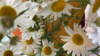 День Петра и Февронии 2024: что можно делать 8 июля, если не хотите остаться в беде и одиночестве