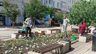 В Самаре на Ленинградской заменили погибшие цветы