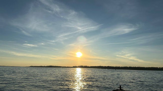 Гороскоп на 10 сентября 2024 года: 4 знака ожидает сложный день