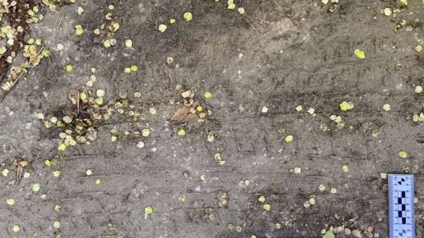 В Самарской области задержан подросток, подозреваемый в угоне автомобиля