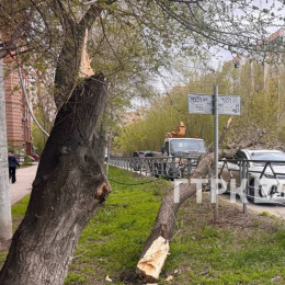 Семья погибшей самарской школьницы установит памятник в Волгаре