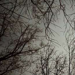 Самарцы сбежали из "ледяного кошмара" на турбазе в новогоднюю ночь