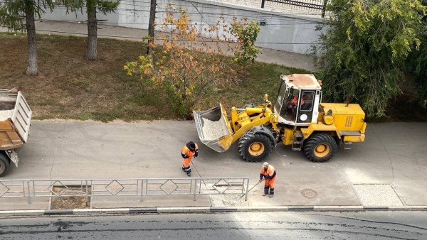 Руководитель самарского департамента ГХиЭ Е. Владимирский разъяснил ситуацию с деревьями на Красноармейской