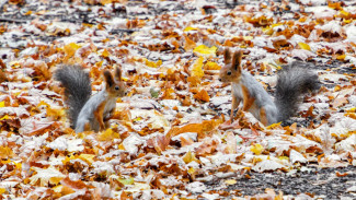 Народный календарь 12 февраля: что нельзя делать на Трехсвятие, чтобы не спугнуть удачу