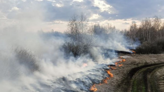 В Самарской области активно борются с горением сухой травы 