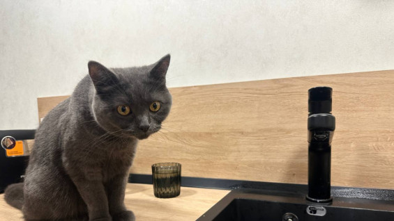 В двух районах Самары временно отключат воду 12 февраля