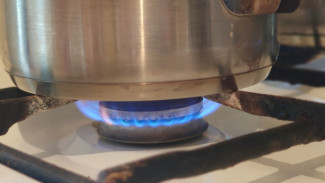 В Самарской области в трёх домах отравились угарным газом 14 мая