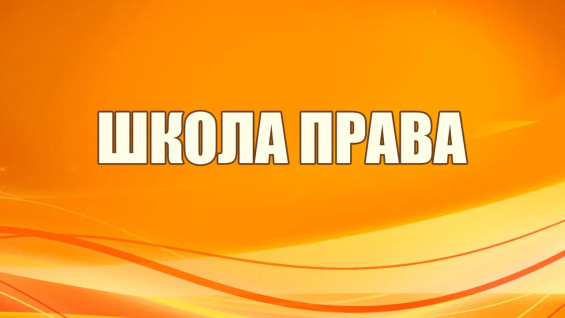 «Школа права»: «уголовка сильно изменилась», или что собой представляет подростковая преступность сегодня?