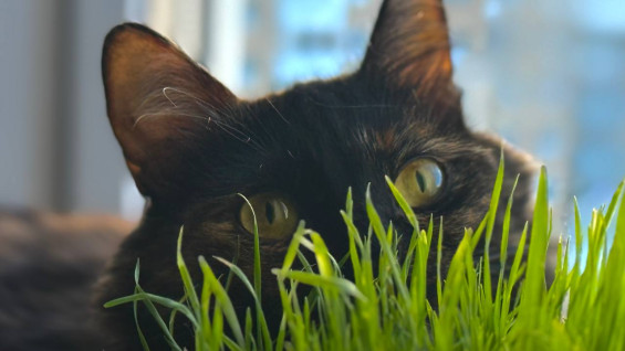 Порфирий Поздний: почему 11 марта мужчинам лучше обходить стороной красивых незнакомок