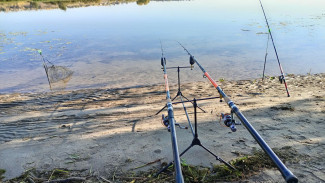 Рыбалку на Волге запретят с 20 апреля 