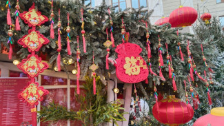 Что нельзя и можно делать в Китайский Новый Год 2026: советы на год Красной Огненной Лошади 