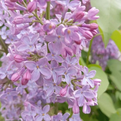 Синоптики озвучили долгосрочный прогноз погоды на конец весны и начало лета 2026