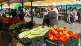 В Самаре хотят открыть 2 сезонные сельскохозяйственные ярмарки