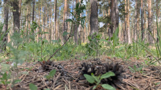 Самарцам не рекомендуют покидать города и села с 18 по 23 сентября