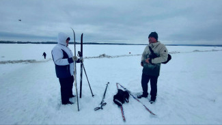Самарские родители потребовали объяснений, кто должен покупать лыжи для уроков физкультуры