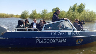 В Самаре в седьмой раз проходит акция "Живая Волга" 