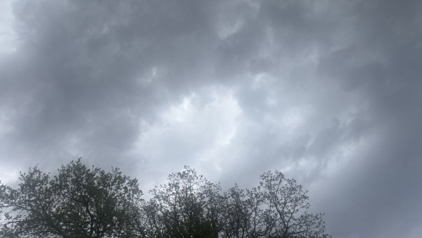 В Самарской области ожидаются сильные майские заморозки