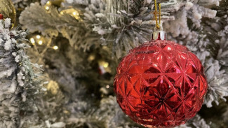 Самарский врач рассказала, как в новогодние праздники уберечь ребенка от травм