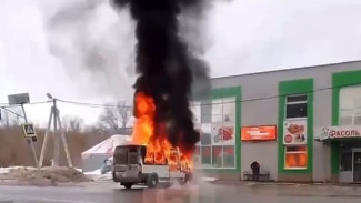 Видео: в Самарской области сгорел пассажирский автобус