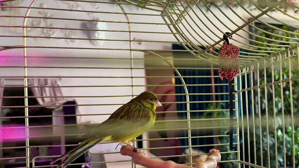 Народные приметы: 4 марта. Наши предки остерегались этого в Архипов день