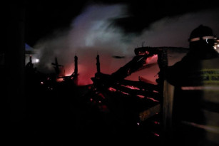 В Самарской области в ночь на 12 декабря в крупном пожаре погибли животные 