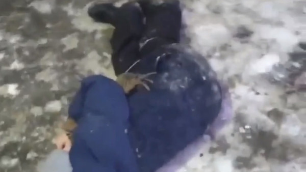 Полицейские начали проверку по факту избиения ребенка в Самарской области