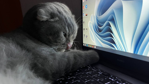 Самарцам уже назвали даты 11-дневных новогодних каникул в 2027 году 