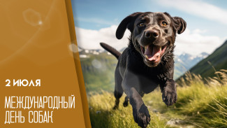 2 июля — Международный день собак: делимся яркими открытками