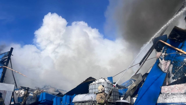 Под Самарой пожарные борются с огнем на складе крупной компании