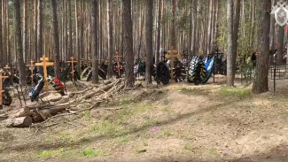 В Самарской области главу поселения будут судить за незаконные кладбища в лесу