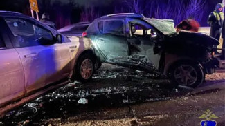 Женщина без прав устроила смертельное ДТП в Самарской области 2 февраля