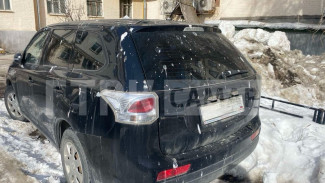 Берегите машины: Самара страдает от нашествия гадящих птиц