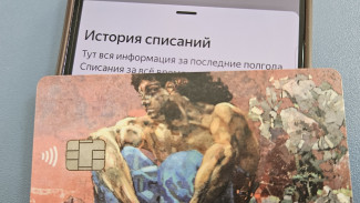 Мошенники при помощи фейковых распродаж обманывают самарцев