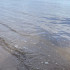 Вода в Волге в Самарской области прогрелась до 22 градусов
