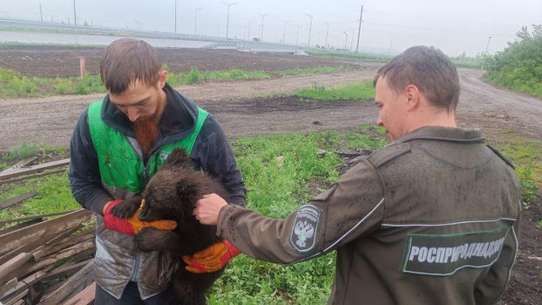 Полицейский медвежонок-найдёныш переехал из самарского подвала в зоопарк