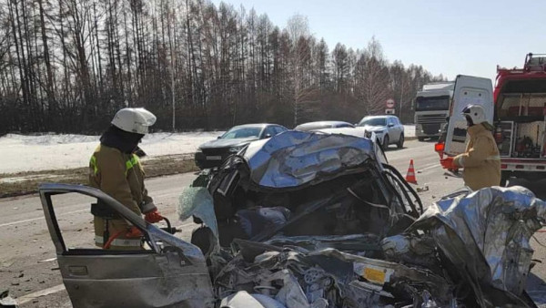 В Самарской области в кровавом ДТП погибли четыре человека, двое из них дети