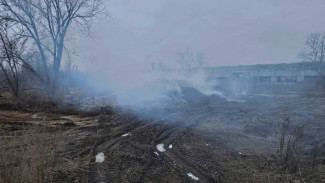 В Самарской области произошел странный пожар в садовом обществе