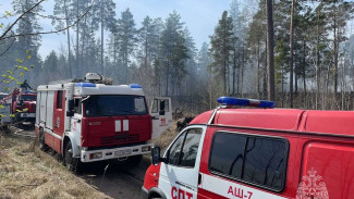 В Тольятти начались первые лесные пожары