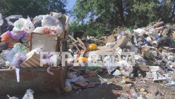 «Вонь, жара, мусор»: в Самаре нашли самый грязный двор