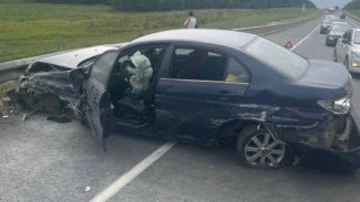 В Самарской области 49-летняя автоледи перекрыла федеральную автотрассу М-5