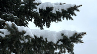 В 7 районах Самарской области ухудшается погода