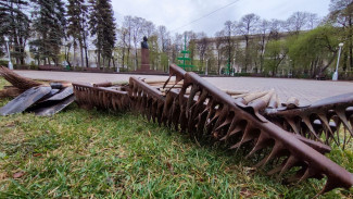 В Самаре назначили дату месячника по благоустройству в 2024 году