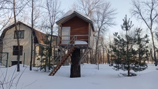 Солнечно и морозно: стала известна погода на 25, 26 и 27 февраля в Самарской области