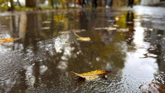 На Самарскую область надвигается погодное предзимье