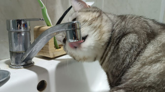 В Самаре десятки адресов останутся без холодной воды с 26 июля по 1 августа